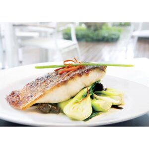 BARRAMUNDI FLLT SKN-ON 6-8Z 10# | PWB