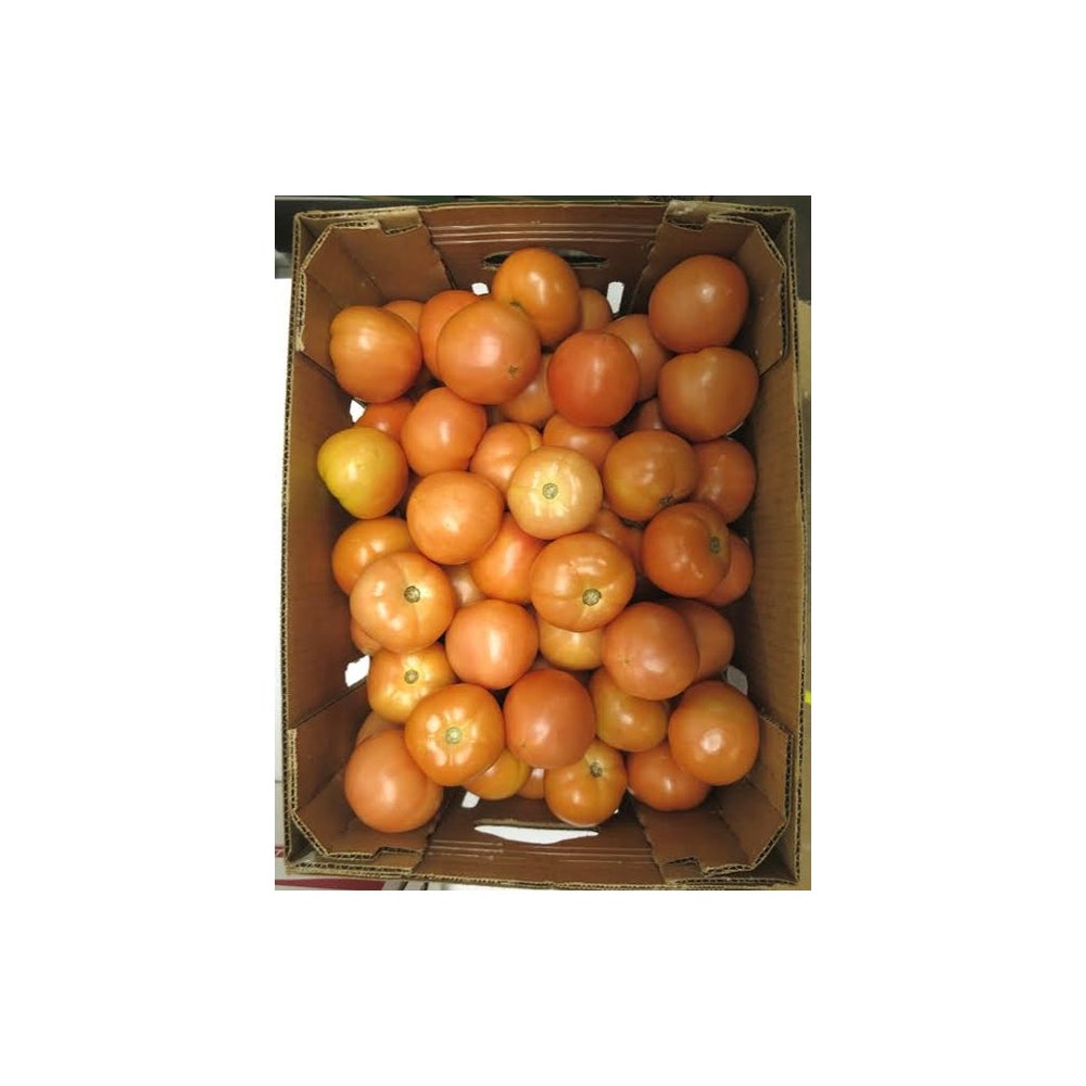6x7 Medium Tomato - Gordon Restaurant Market