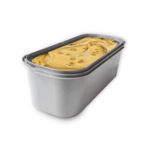 Mango Sorbet | RAW