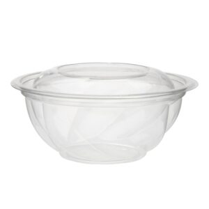 Clear Plastic Take Out Bowls | RAW