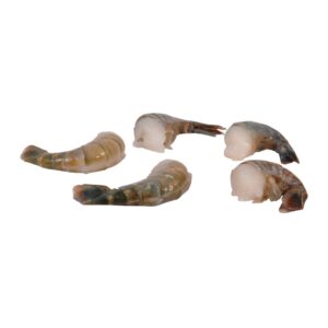 Freshwater Shrimp Prawns | RAW