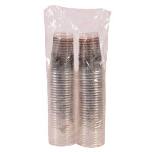 20 oz. Clear Plastic Cold Cups | PKG