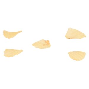 Potato Chips | RAW