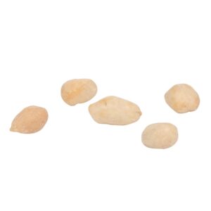 Blanched Peanuts | RAW