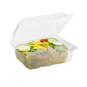 Large Plastic Salad Containers | PNB