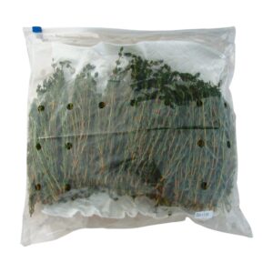 Thyme | IPG