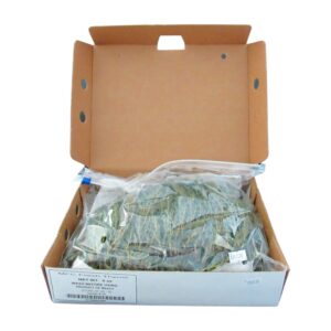 Thyme | PKG