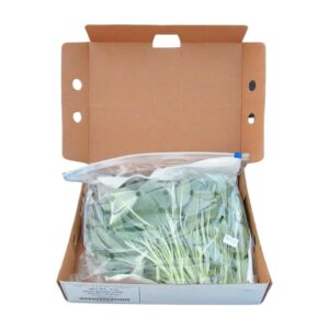 1-1/2# FRESH SAGE | PKG