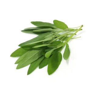 1-1/2# FRESH SAGE | RAW