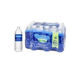 Absopure Spring Water | PNB
