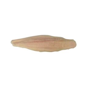 7-9 oz Swai Fillets | RAW