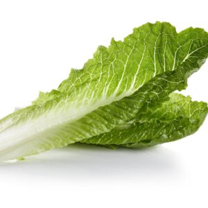 California Romaine Lettuce | RAW