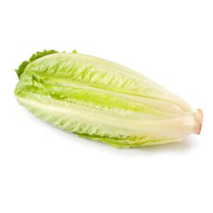 Romaine Lettuce Hearts | RAW