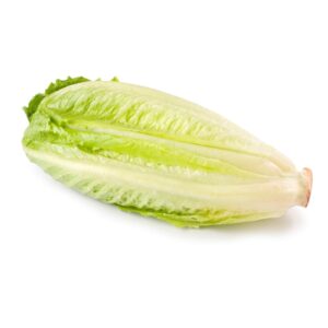 Romaine Lettuce Hearts | RAW