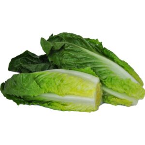 Romaine Hearts Lettuce | RAW