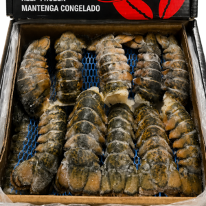 Lobster Tails | Packaged