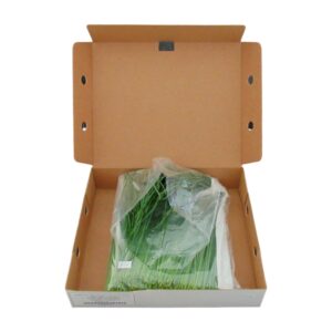Fresh Chives | PKG