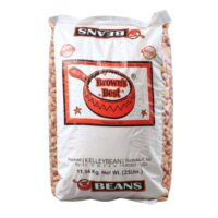 Pinto Beans | IPG