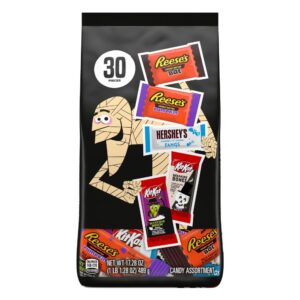 Variety Pack Halloween Shaped Chocolate Candy | PNB