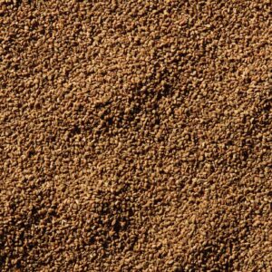 Whole Celery Seed | RAW
