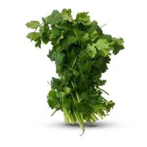 Cilantro | RAW