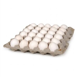 Large Fresh Eggs | IPG