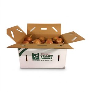 Jumbo Spanish Onions | PKG