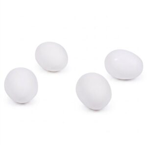 Extra-Large Grade A Eggs | RAW