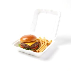Medium Hinged Foam Containers | PNB