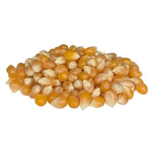 Unpopped Popcorn | RAW